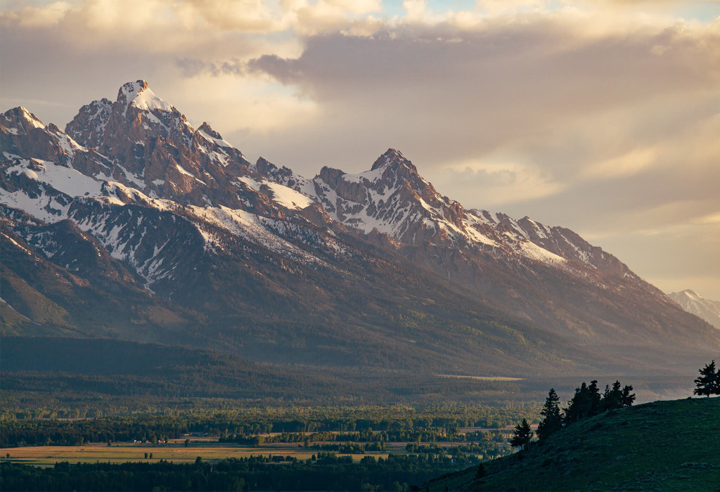 Wyoming Public Adjusters