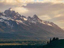 Wyoming Public Adjusters