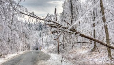 Adjusters International Storm Claim