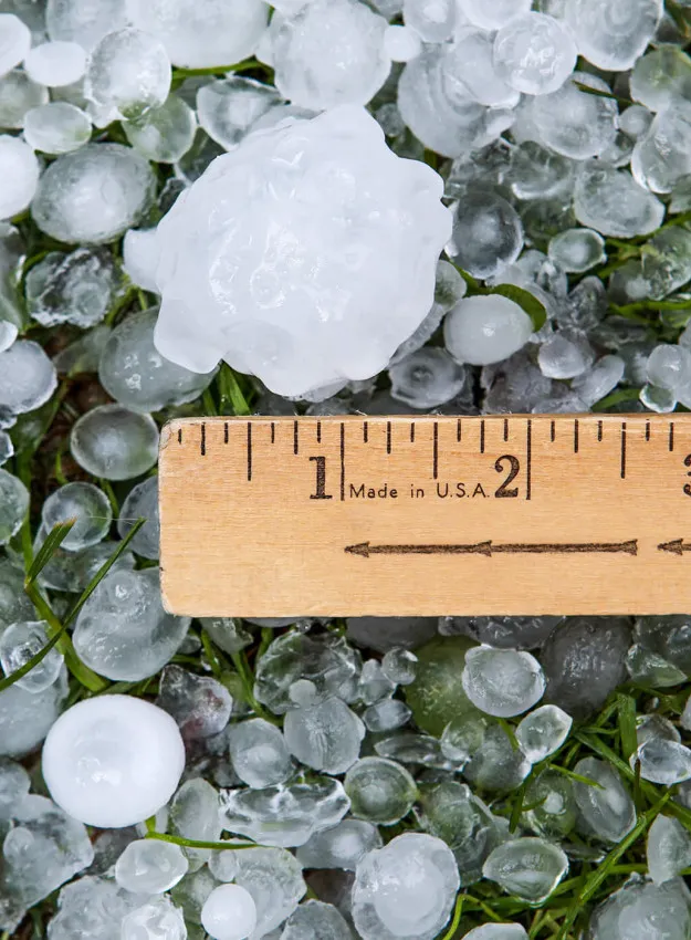 Ruler on the Ground Measuring Hail Size 