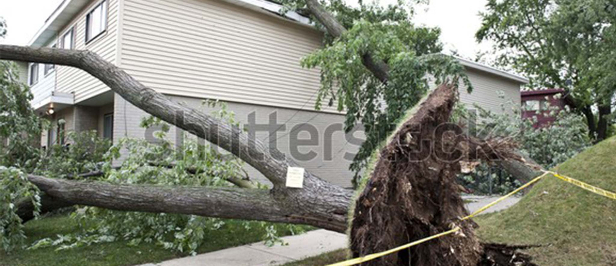 Storm Damage