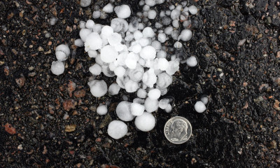 Dime-Sized Hail on the Ground